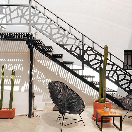 Casa Don Jose: Violetas Suite Oaxaca Exteriér fotografie